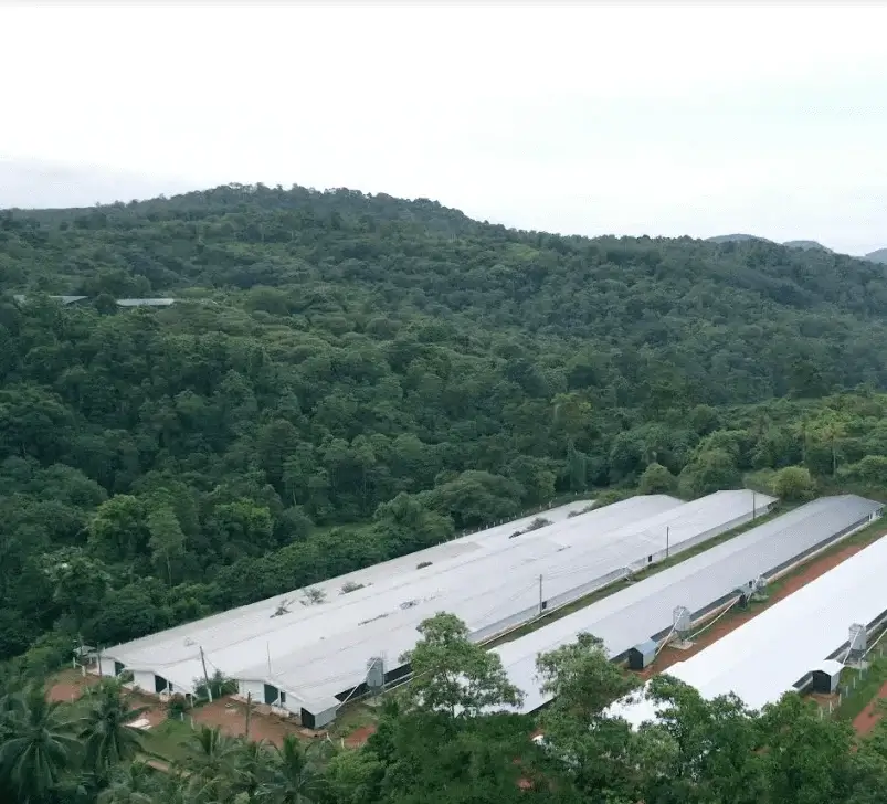 Anthoney’s Haritha process 100 percent natural